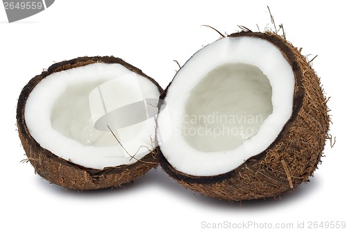 Image of Coconut