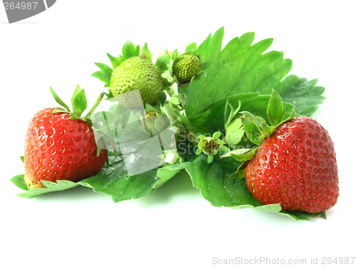 Image of strawberries