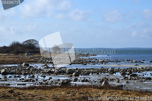 Image of Rocky coastline at low water