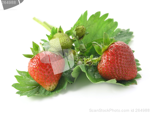 Image of strawberries