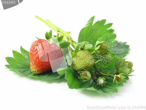 Image of strawberries