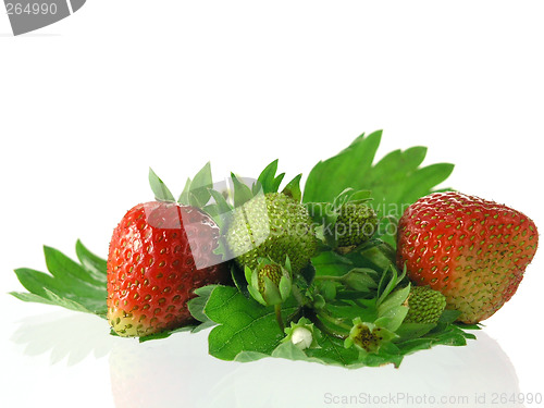 Image of strawberries