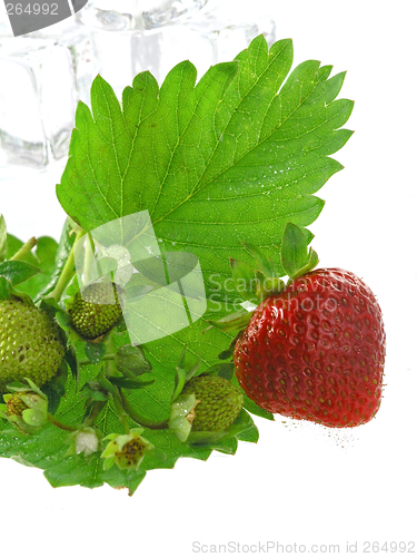 Image of strawberries