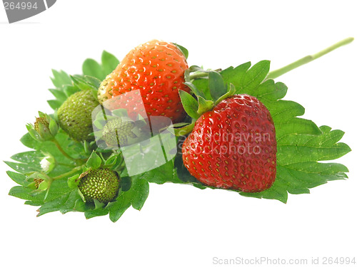 Image of strawberries