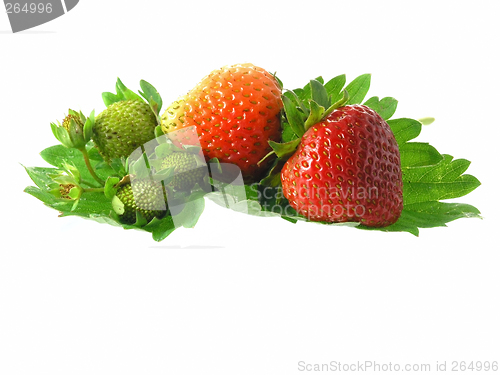 Image of strawberries