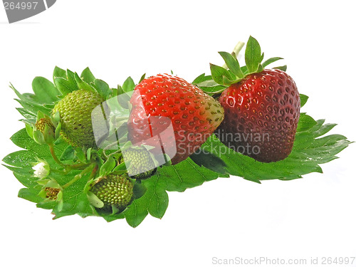 Image of strawberries