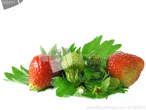Image of strawberries