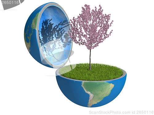 Image of Tree inside planet