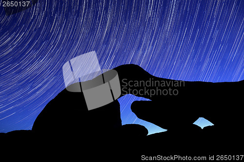 Image of Night Star Trail Streaks over the Rocks of Joshua Tree Park