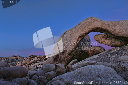 Image of Landscape in Joshua Tree National Park