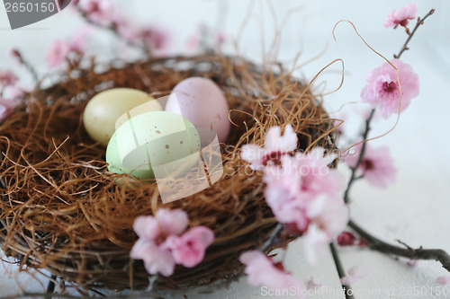 Image of Easter Holiday Themed Still Life Scene in Natural Light