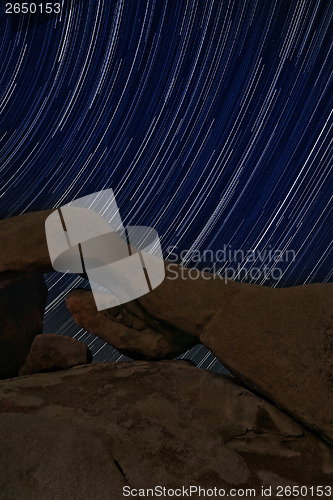 Image of Night Star Trail Streaks over the Rocks of Joshua Tree Park