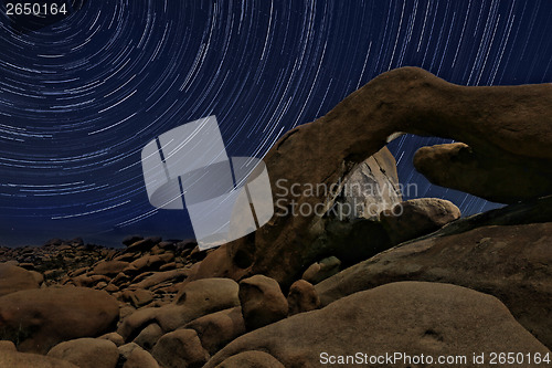 Image of Night Star Trail Streaks over the Rocks of Joshua Tree Park