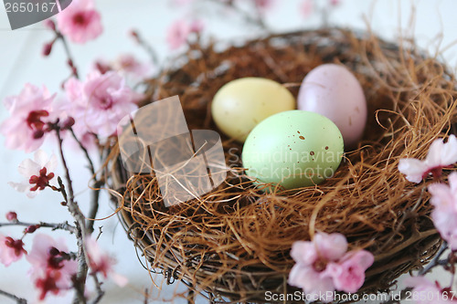 Image of Easter Holiday Themed Still Life Scene in Natural Light