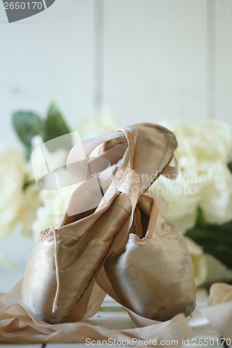 Image of Posed Pointe Shoes in Natural Light 