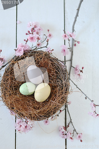 Image of Easter Holiday Themed Still Life Scene in Natural Light