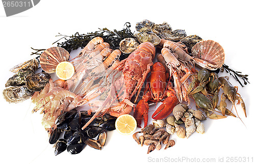 Image of seafood