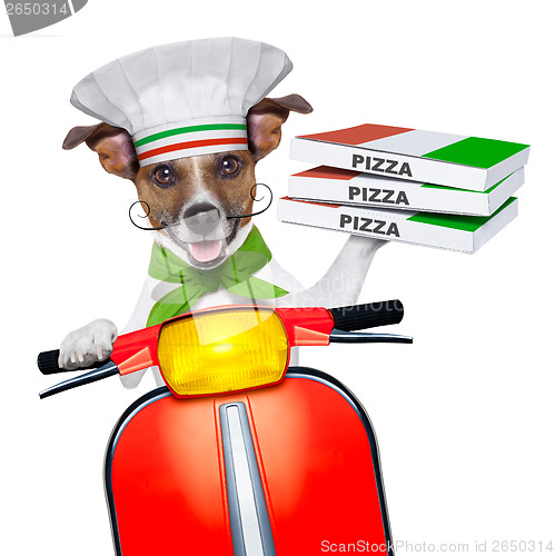 Image of pizza delivery dog
