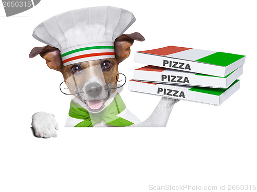 Image of pizza delivery dog