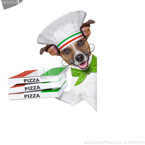 Image of pizza delivery dog
