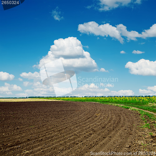Image of black plowed field and clouds in blue sky