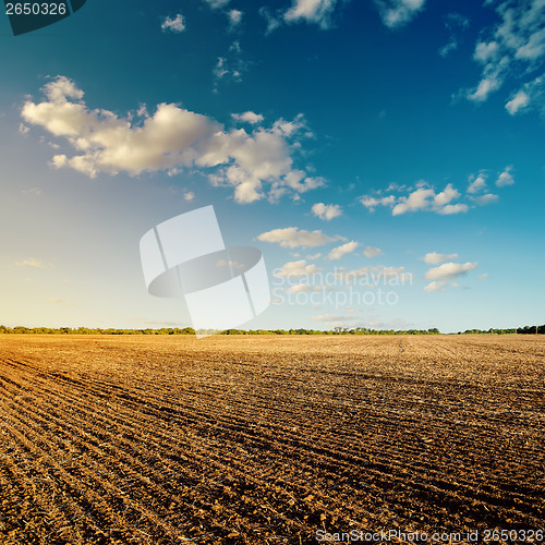 Image of black field after harvesting and blue cloudy sky