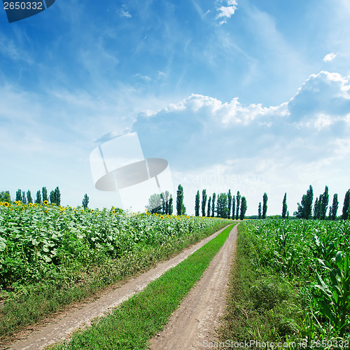 Image of rural road in green fields and blue cloudy sky