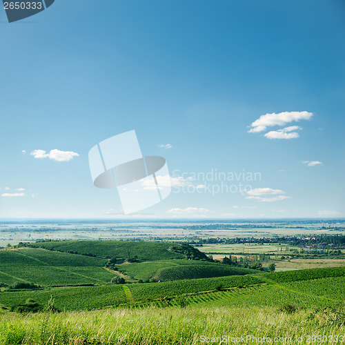 Image of view to vineyard and blue sky