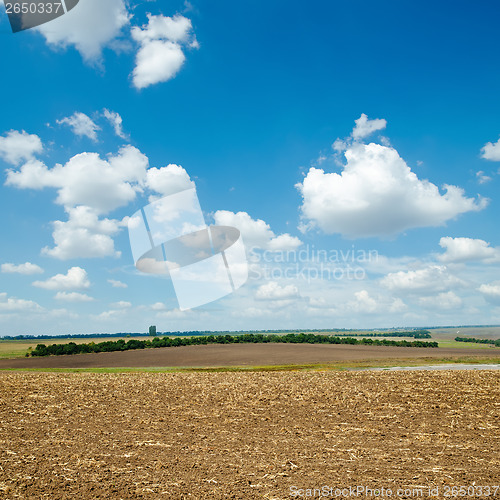 Image of ploughed field and light clouds over it