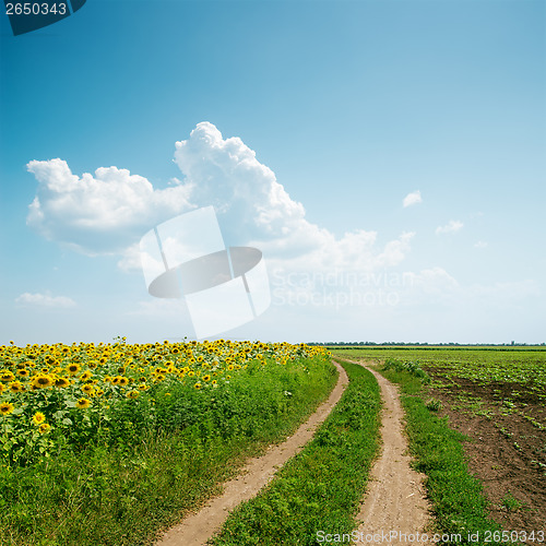 Image of dirty road to horizon in agriculture fields and clouds over it