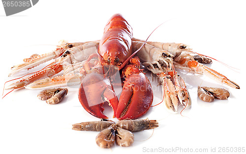 Image of seafood