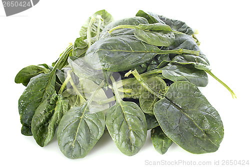Image of raw spinach