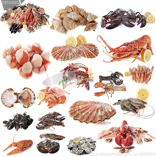 Image of seafood and shellfish