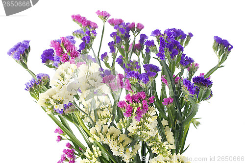 Image of limonium