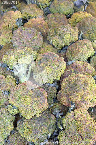 Image of lot of green cauliflower