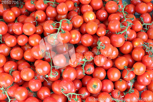 Image of lot of ripe tomato