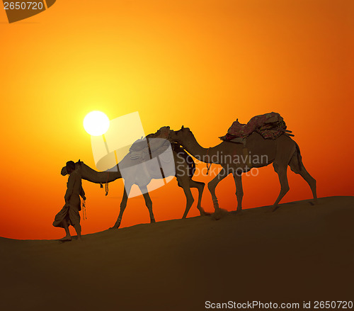 Image of cameleerand camels - silhouette against sunset