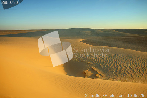 Image of Dunes of Sahara