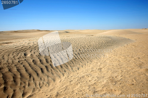 Image of Dunes in Sahara