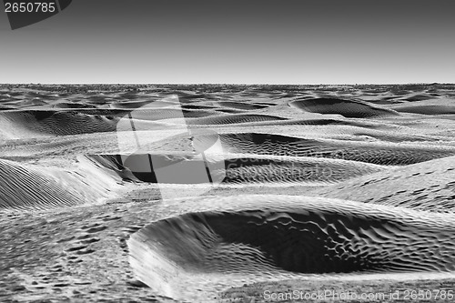 Image of Dunes of Sahara desert black and white