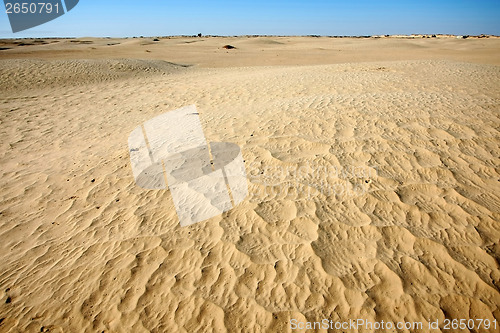 Image of Dunes of Sahara