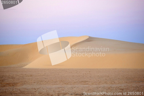 Image of Sand dunes in Sahara desert