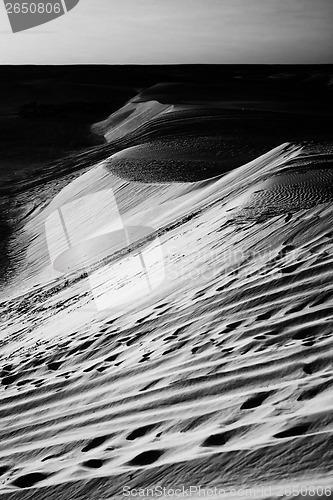 Image of Sand dunes in Sahara