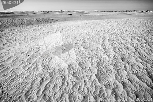 Image of Dunes of Sahara black and white