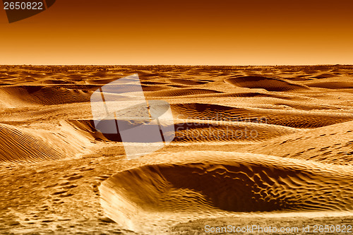 Image of Dunes of Sahara desert at sunset