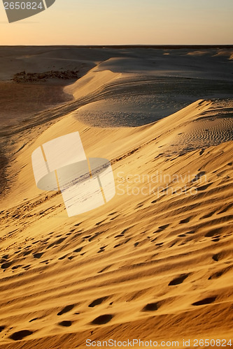 Image of Sand dunes in Sahara