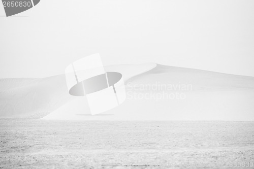 Image of Sand dunes in Sahara desert high key