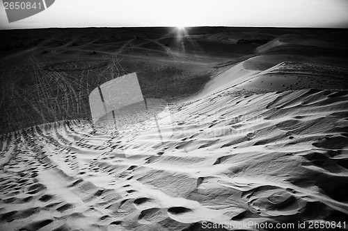 Image of Sunset in Sahara desert black and white