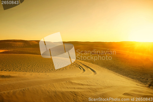 Image of Traces in Sahara