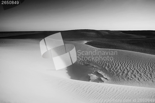 Image of Dunes of Sahara black and white